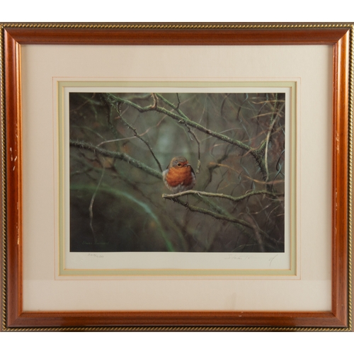 441 - STEVEN TOWNSEND (b.1955)ARTIST SIGNED LIMITED EDITION COLOUR PRINTS, FIVEThree of Robins and Two of ... 