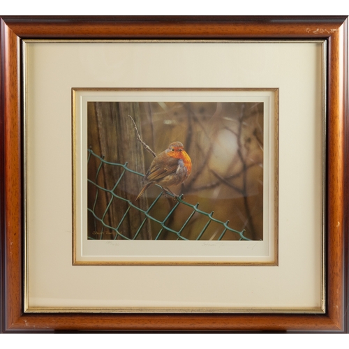 441 - STEVEN TOWNSEND (b.1955)ARTIST SIGNED LIMITED EDITION COLOUR PRINTS, FIVEThree of Robins and Two of ... 