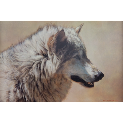 443 - CARL BRENDERS (b.1937)ARTIST SIGNED LIMITED EDITION COLOUR PRINT'Steadfast and Resolute-Wolf'Numbere... 