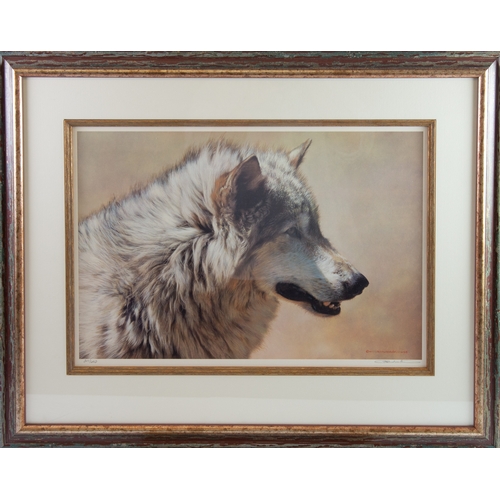 443 - CARL BRENDERS (b.1937)ARTIST SIGNED LIMITED EDITION COLOUR PRINT'Steadfast and Resolute-Wolf'Numbere... 