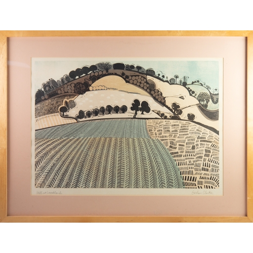 GRAHAM CLARKE ARTIST SIGNED COLOUR PRINT 'Hill at Woodlands