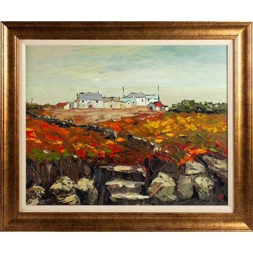 30 - JULIE FORRESTER (1954)IMPASTO OIL ON BOARD 'Fitzpatrick's Cottages' Signed with initials J.F. lower ... 