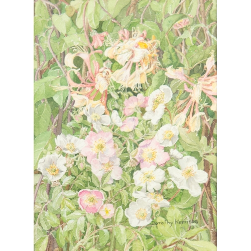 334 - DOROTHY KERRISON (1900-1995) WATERCOLOUR ‘Woodbine (Honeysuckle) and Wild Roses’ Signed, titled to ‘... 