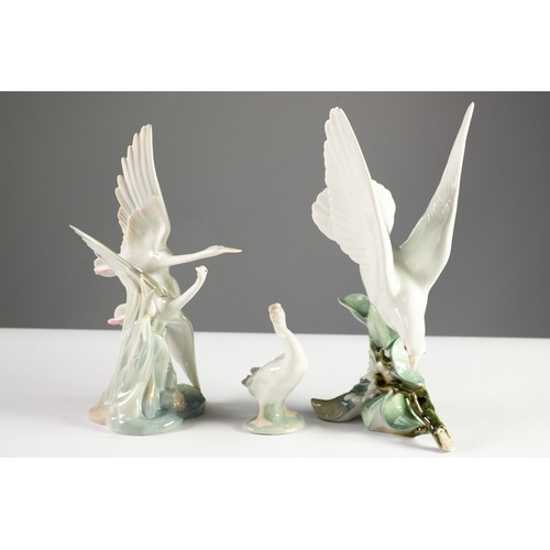 21 - LLADRO PORCELAIN MODEL OF A SEAGULL ON SEAWEED, 11in (28cm) high (minor chip to the wing tip); ANOTH... 