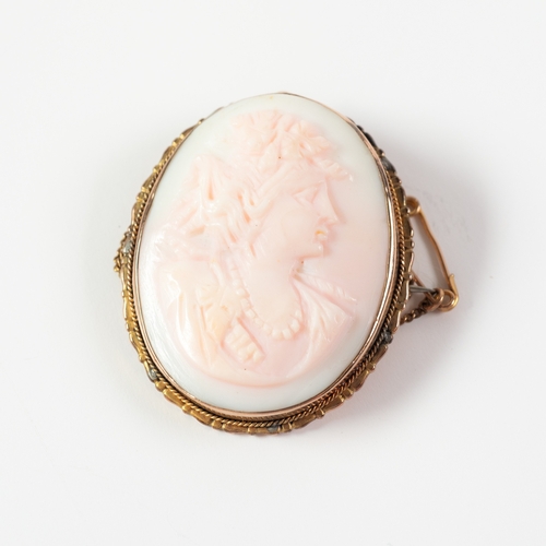 80 - CARVED PALE PINK CORAL CAMEO BROOCH, depicting the head of a lady, in 9ct GOLD FRAME with safety cha... 