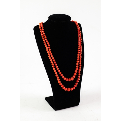 71 - TWO STRAND NECKLACE OF GRADUATED RED CORAL ROUND BEADS, with fine chain extension to the back, 19 1/... 