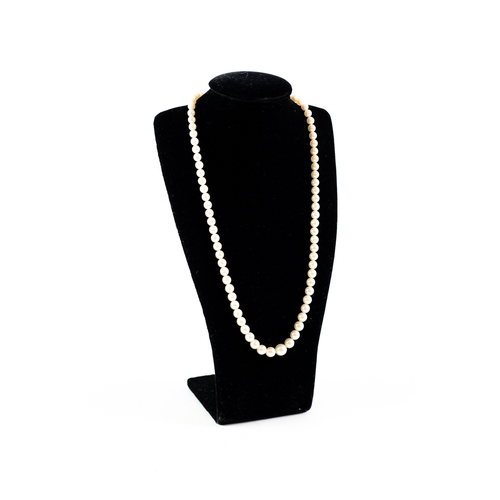 441 - SINGLE STRAND NECKLACE OF GRADUATED CULTURED PEARLS with 9ct gold circular clasp set with a centre g... 