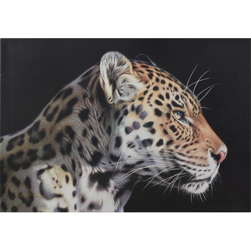 163 - DARRYN EGGLETON (1981) ARTIST SIGNED LIMITED EDITION COLOUR PRINT ON BOX CANVAS‘The Wild Side I’ (14... 