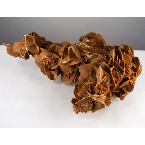 16 - LARGE DESERT ROSE SELENITE GYPSUM MINERAL CLUSTER, 23” (58.4cm) long