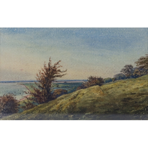 238 - BRITISH SCHOOL (NINETEENTH CENTURY)WATERCOLOURS, FOURLandscapes of variable small sizeThe mounts cut... 