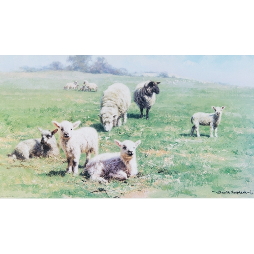 319 - DAVID SHEPHERD FOUR ARTIST SIGNED COLOUR PRINTS OF FARM ANIMALS‘Porkers’ (190/850)‘High Noon’ (371/8... 