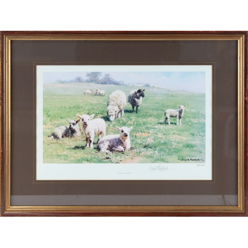 319 - DAVID SHEPHERD FOUR ARTIST SIGNED COLOUR PRINTS OF FARM ANIMALS‘Porkers’ (190/850)‘High Noon’ (371/8... 