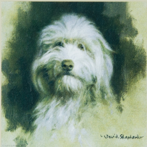 320 - DAVID SHEPHERD ARTIST SIGNED LIMITED EDITION COLOUR PRINT ‘Muffin’ (612/850) 5 ¼” x 5 ¼” (13.3cm x 1... 