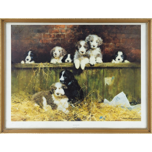 320 - DAVID SHEPHERD ARTIST SIGNED LIMITED EDITION COLOUR PRINT ‘Muffin’ (612/850) 5 ¼” x 5 ¼” (13.3cm x 1... 