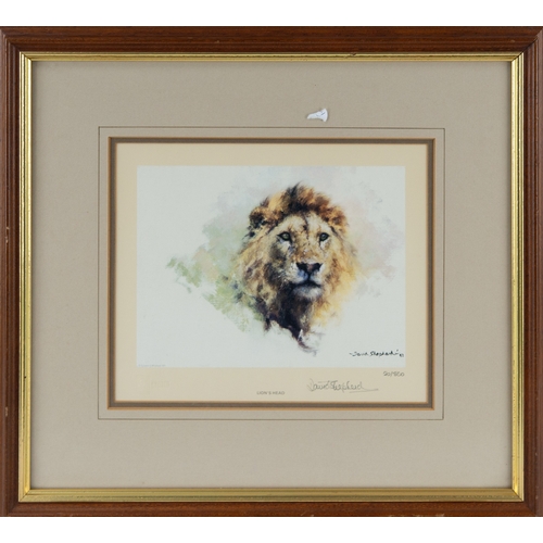 321 - DAVID SHEPHERDTWO ARTIST SIGNED LIMITED EDITION COLOUR PRINTS OF LIONS ‘Cool Cats’ (96/850)9” x 16” ... 