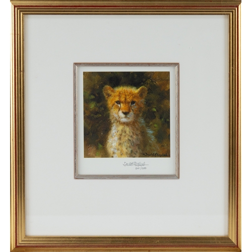 322 - DAVID SHEPHERD PAIR OF ARTIST SIGNED LIMITED EDITION COLOUR PRINTS OF WILD CATS Untitled (641/850)4 ... 