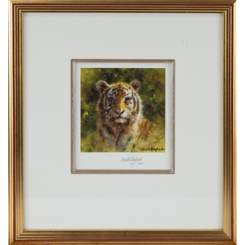 322 - DAVID SHEPHERD PAIR OF ARTIST SIGNED LIMITED EDITION COLOUR PRINTS OF WILD CATS Untitled (641/850)4 ... 