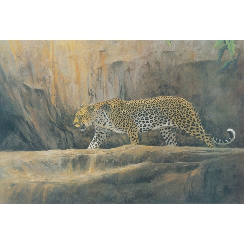 328 - KIM DONALDSON ARTIST SIGNED LIMITED EDITION COLOUR PRINT Leopard at Bushman Rock Signed in pencil an... 