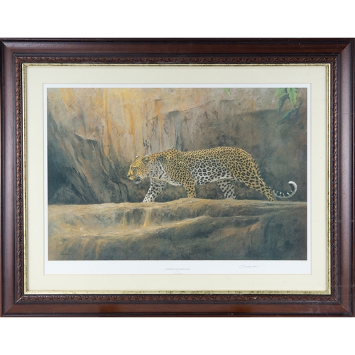 328 - KIM DONALDSON ARTIST SIGNED LIMITED EDITION COLOUR PRINT Leopard at Bushman Rock Signed in pencil an... 