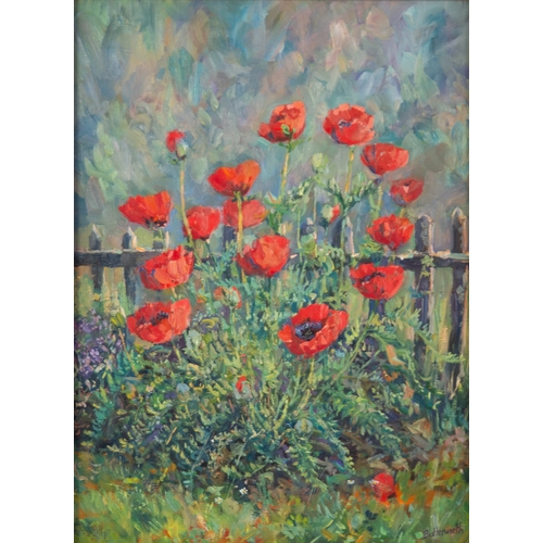 231 - HOWARD BUTTERWORTH (1945) OIL ON CANVAS Poppies Signed 23” x 17” (58.4cm x 43.2cm)... 