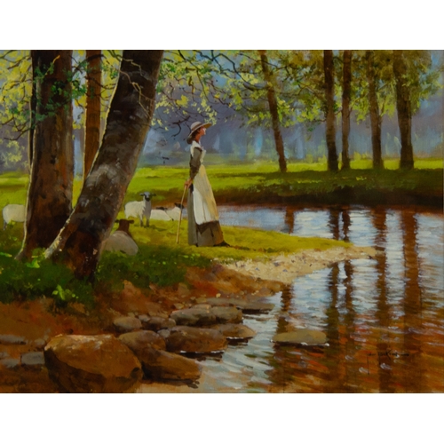 250 - JOHN HASKINS (Contemporary)ACRYLIC ON BOARDA shepherdess with sheep in a river landscapeSigned lower... 