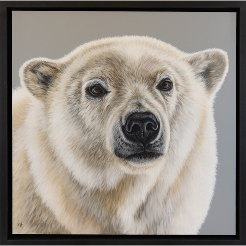 306 - GINA HAWKSHAW (MODERN) OIL ON CANVAS ‘Polar Bear’ Signed with initials, titled to gallery label vers... 