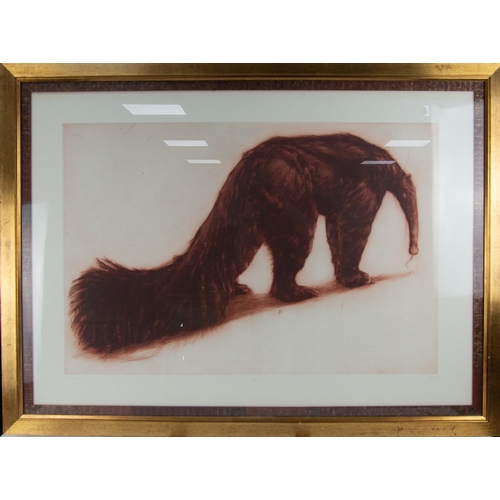 308 - HELEN FAY ARTIST SIGNED LIMITED EDITION ETCHING WITH AQUATINT‘Anteater’ ’96, (10/25)23 ½” x 35 ¼” (5... 