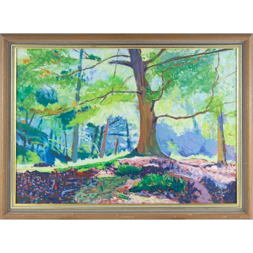 223 - PAT SHARP (TWENTIETH CENTURY) OIL PAINTING Woodland scene Signed 16 ½” x 23 ½” (41.9cm x 59.7cm)... 