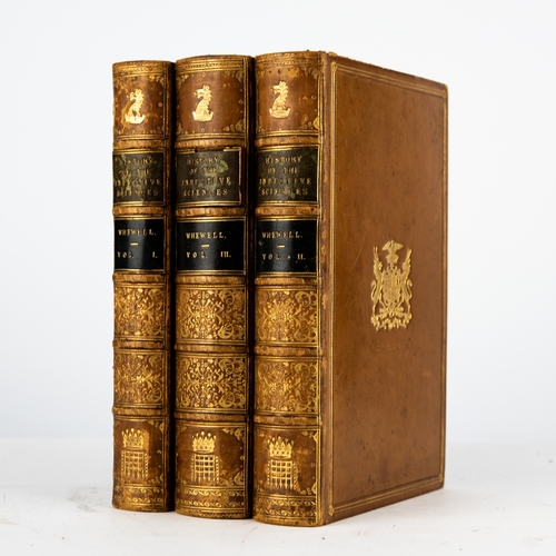 Lot 46        