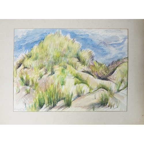 Lot 31        
