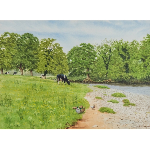 Lot 8         