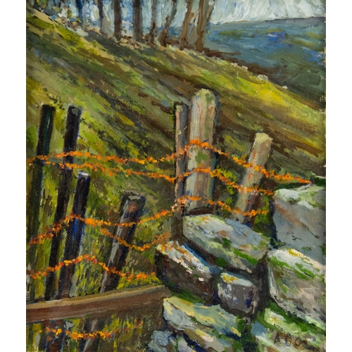 Lot 38        