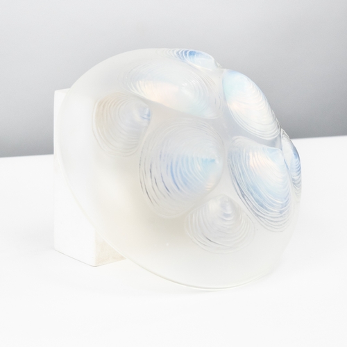 Lot 29        