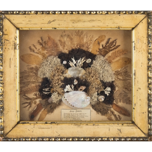 35 - PAIR OF VICTORIAN ‘OCEAN FLOWERS’ SHELL, SEAWEED AND LEAF ARRANGEMENTS, 7” x 8 ½” (17.8cm x 21.6cm),... 