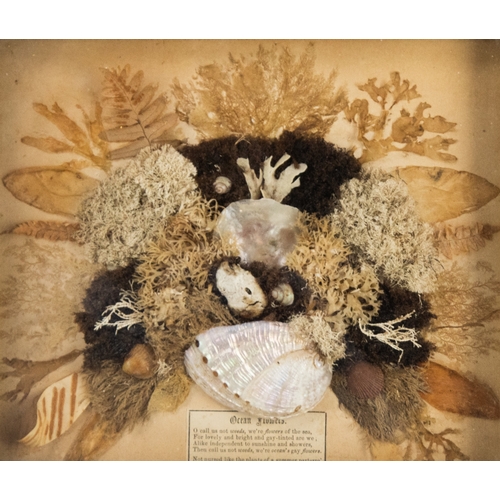 35 - PAIR OF VICTORIAN ‘OCEAN FLOWERS’ SHELL, SEAWEED AND LEAF ARRANGEMENTS, 7” x 8 ½” (17.8cm x 21.6cm),... 