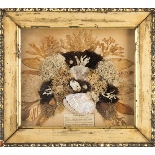 35 - PAIR OF VICTORIAN ‘OCEAN FLOWERS’ SHELL, SEAWEED AND LEAF ARRANGEMENTS, 7” x 8 ½” (17.8cm x 21.6cm),... 