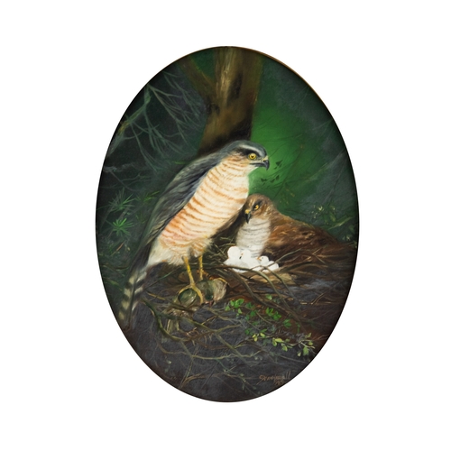 172 - JOHN HASSALL (1944-2020)SET OF FIVE OVAL OILS ON CANVAS BRITISH WILDLIFE:Fox, Stag, Squirrels, Badge... 