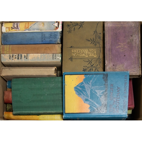 14 - Mrs Traill - Afar in the Forest, pictures of Life and Scenery in the Wilds of Canada pub T Nelson So... 