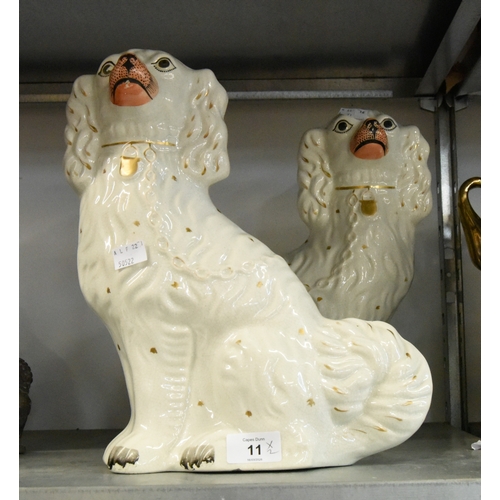 Lot 11        