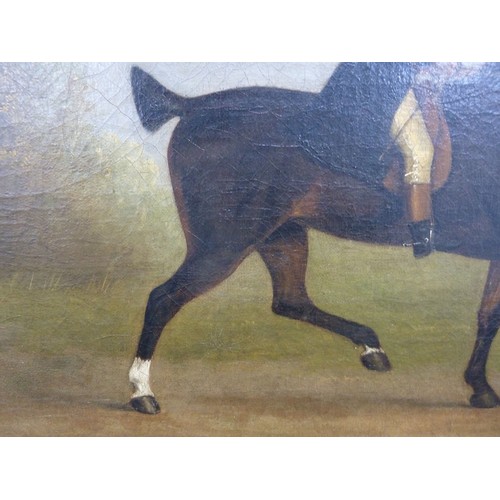 166B - JOHN NOST SARTORIUS (1759-1828)OIL ON RELINED CANVASMan on a bay horse riding with a terrier dog fol... 