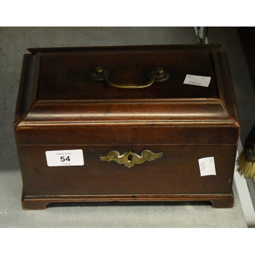 Lot 54        