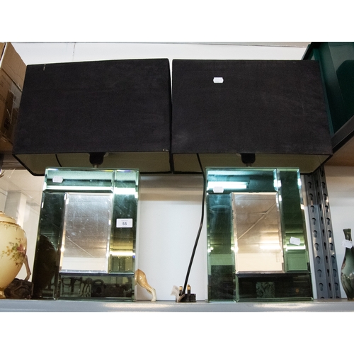 Lot 55        