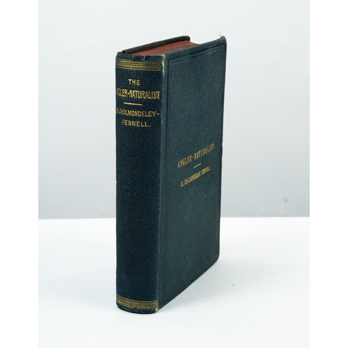 Lot 51        