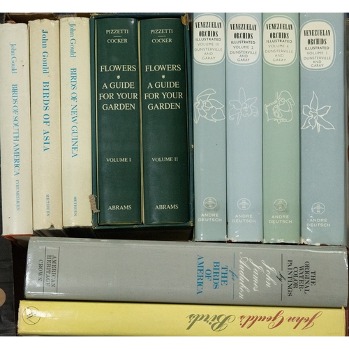Lot 25        