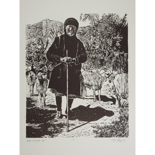 Lot 27        