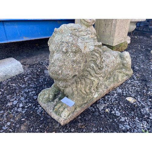 207 - Stone Lion statue - very heavy - Section OSC