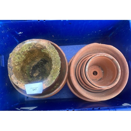 247 - Selection of plant pots - Section OSC