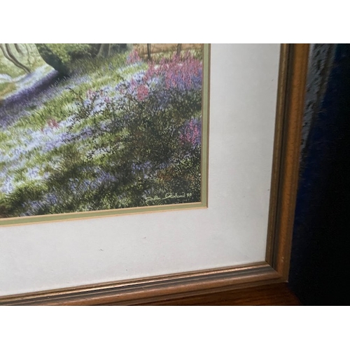 596 - Framed Print- Section S5