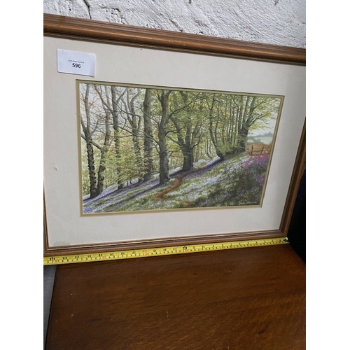 596 - Framed Print- Section S5