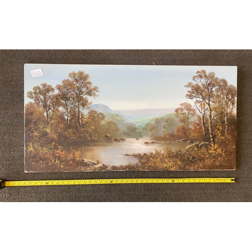 1010 - Large Canvas painting- Section O11